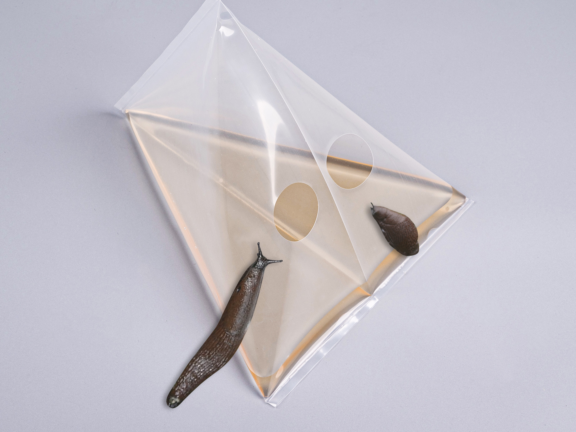 Slug Trap